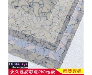 同質(zhì)透心PVC防靜電pvc塑膠地板 進(jìn)口LG防靜電pvc塑膠地板