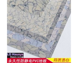 同質(zhì)透心PVC防靜電pvc塑膠地板 進(jìn)口LG防靜電pvc塑膠地板